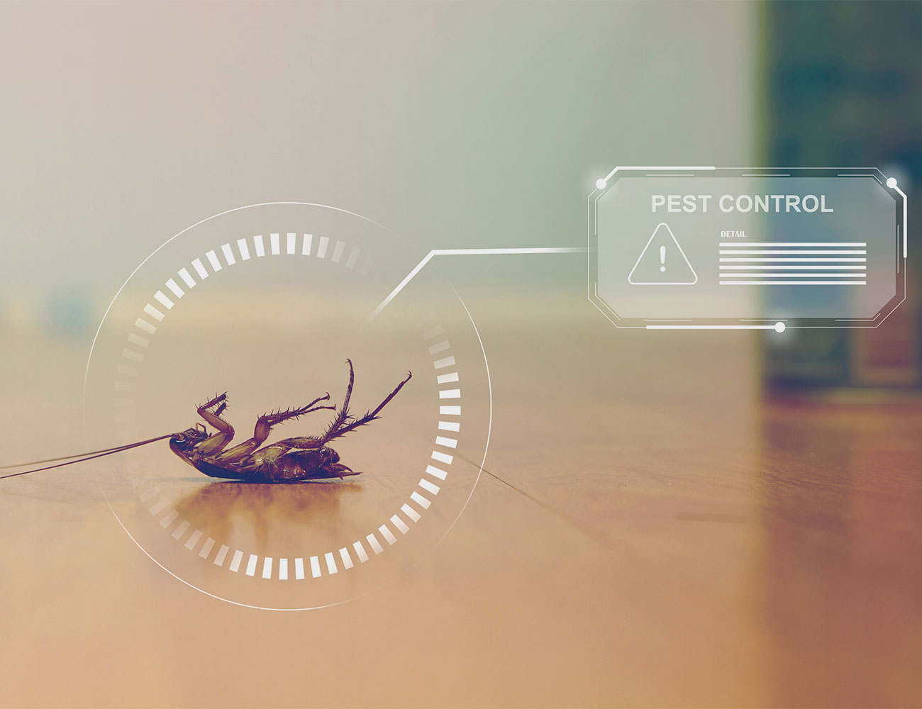 Expert Exterminators in The Bronx for Bed Bugs, Rodents, Roaches & More